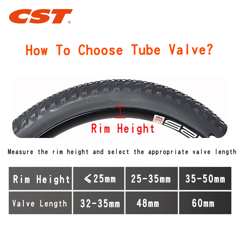 2PCS CST Bike Inner Tubes 20in - огляд і ціна Inner Tube 700C